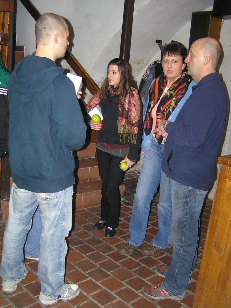 2008-33.